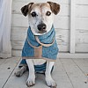 Blue Towel Coat - Jack Russell